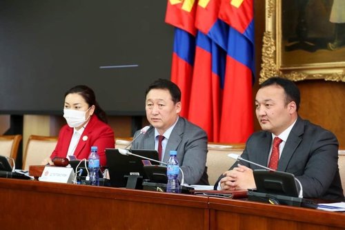 МАН: Засгийн газрын Үндсэн хуульд өөрчлөлт оруулах төслийг дэмжсэн